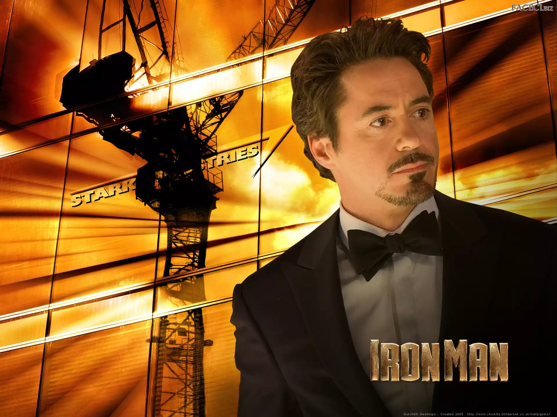 Robert Downey Jr., Iron Man