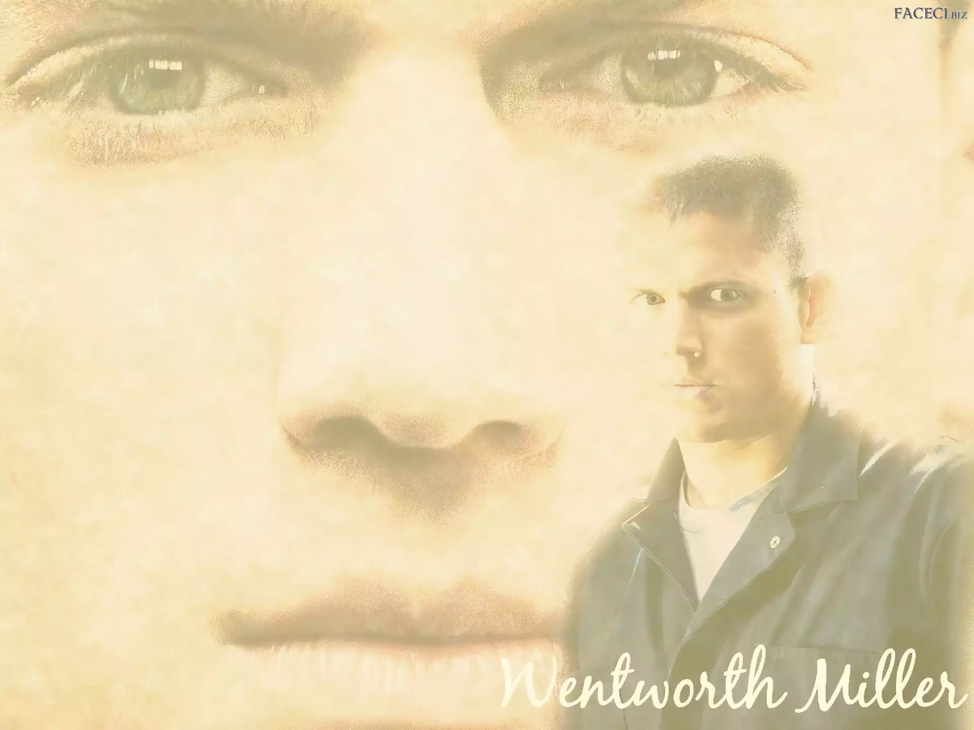 oczy, twarz, Skazany na śmierć, Prison Break, Wentworth Miller
